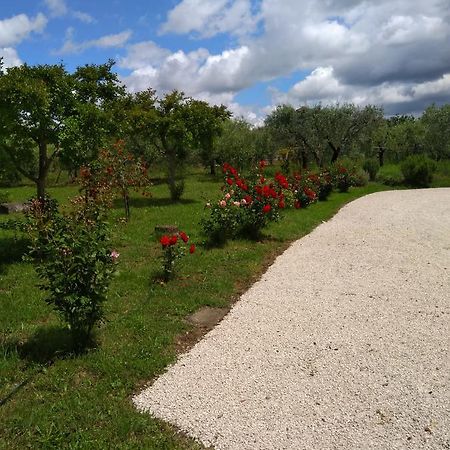Casa Vacanze Le Rose Ariccia Exterior foto