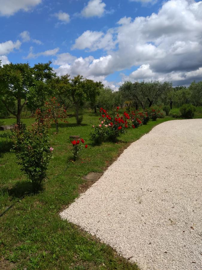 Casa Vacanze Le Rose Ariccia Exterior foto