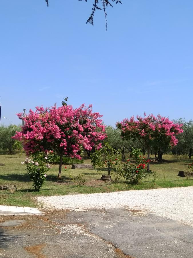 Casa Vacanze Le Rose Ariccia Exterior foto